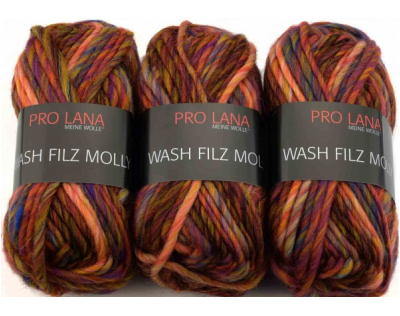   Pro Lana Wash-Filz Molly